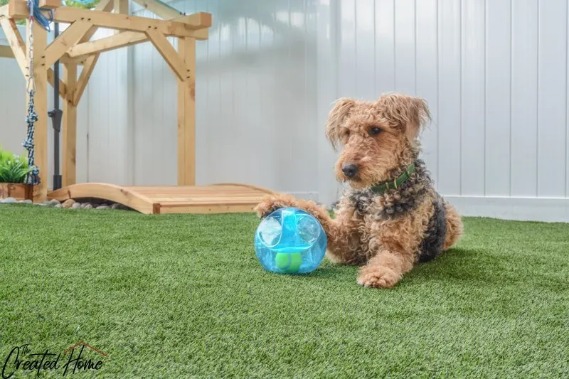 Create Safe and Affordable Dog Toys at Home