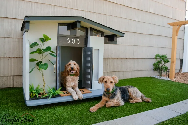 midcentury modern dog house